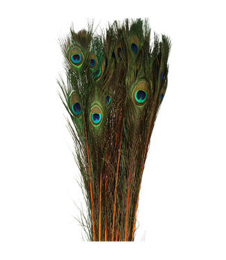 4A Plume de Paon | Couleur : Orange | Longueur 100 centimètres | Par 10 plumes