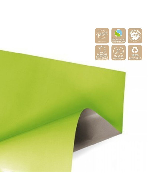 Feuille à Double Face | Couleur : Vert Clair | Largeur 70 centimètres | Longueur 70 centimètres | Par 100 feuilles
