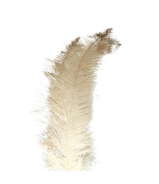 4A Ostrich Feathers | Colour: Cream | Length 55 centimetres | Per 5 feathers