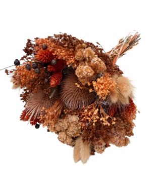 Dolce Vita Boeket droogbloemen Wow Brown | Lengte ± 35 centimeter | Met bruine droogbloemen