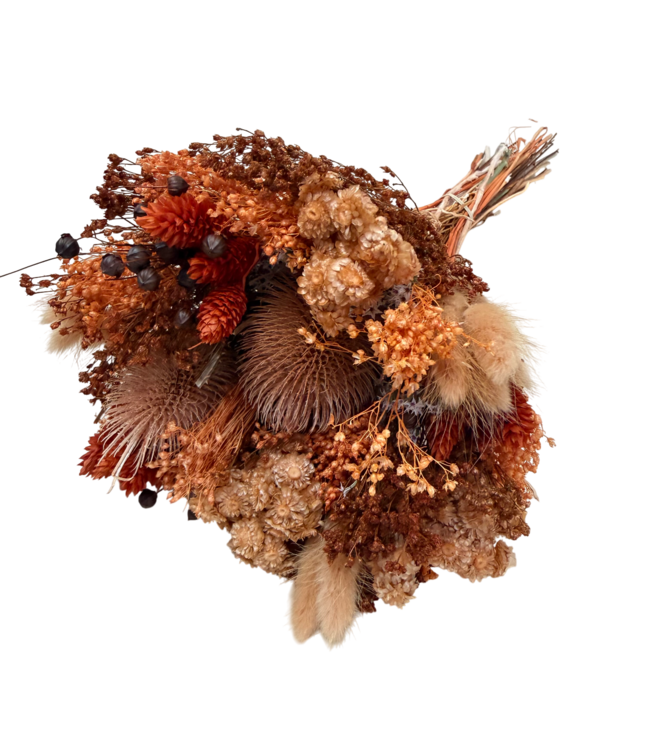Boeket droogbloemen Wow Brown | Lengte ± 35 centimeter | Met bruine droogbloemen