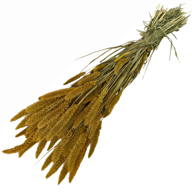 Setarea de fleurs séchées jaune ocre | Longueur ± 70 centimètres | Poids ± 150 grammes