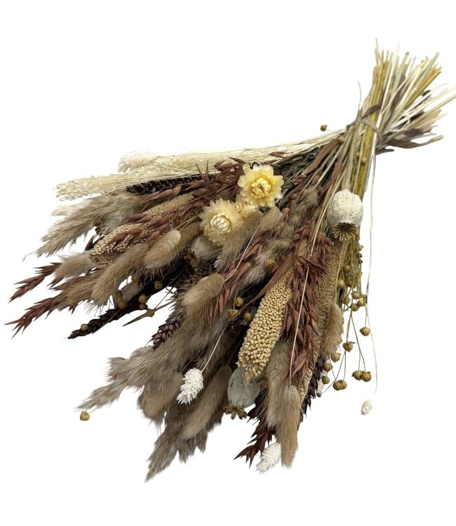 Bouquet of dried flowers Maria | Length ± 65 centimetres | With natural, brown and white bleached dried flowers