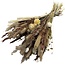 Boeket droogbloemen "Maria" | Lengte ± 65 centimeter | Met naturelle, bruine en wit gebleekte droogbloemen