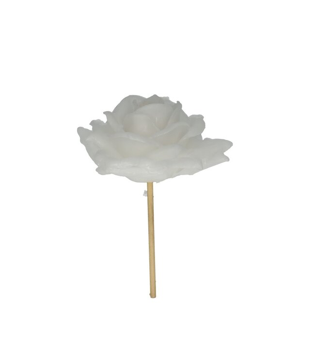 Wachsrose Bei-Stecker | Farbe: Naturweiß | Durchmesser der Rose 10 Zentimeter | Länge des Bei-Steckers ± 25 Zentimeter | Pro 12 Bei-Stecker