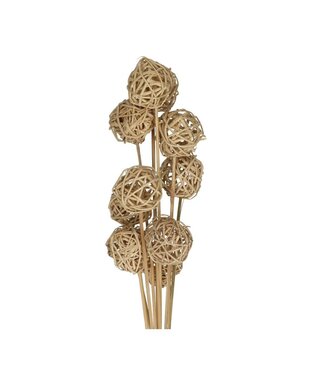 4A Brunchbal Bijsteker | Kleur: Lichtbruin | Lengte bijsteker ± 50 centimeter | Per 10 bijstekers