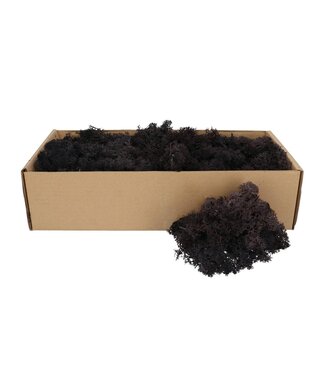 4A Gedroogd Rendiermos | Kleur: Zwart | Droogdecoratie | Per 400 - 500 gram | Per doosje