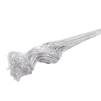 4A Feuille de Palmier Séchée Nerf | Curly Ting Ting | Couleur : Argenté | Décoration Sèche | Longueur ± 70 centimètres | Poids 200 grammes | Par bouquet