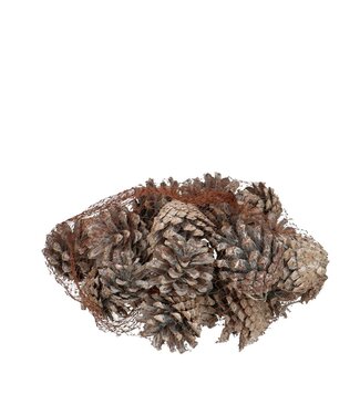 4A Sylvester Pine Cones | Colour: Natural White | Weight: 200 grams | Per bag