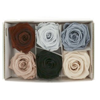 4A Preserved Rose | Colour: Mixed Colours | Dried Decoration | Diameter 6 centimetres | Per 6 roses
