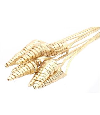 4A Palmspirale auf Stiel | Farbe: Goldfarben | Cane Cone Stecker | Länge Stecker ± 50 Zentimeter | Pro 10 Stecker
