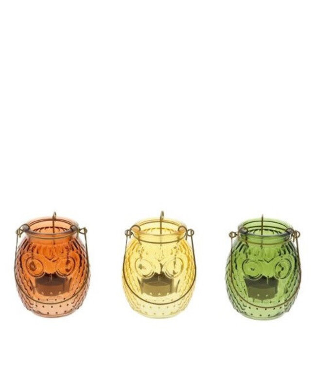 Bougie chauffe-plat “Chouette” | Couleur : Couleurs Mélangées | Diamètre 12 centimètres | Hauteur 10 centimètres | Par 6 bougies chauffe-plat