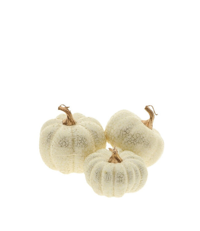 Assortiment de Citrouilles Décoratives | Couleur : Blanc Naturel | Par 3 citrouilles