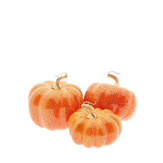 4A Pompoen Assortiment Decoratie | Kleur: Oranje | Per 3 pompoenen
