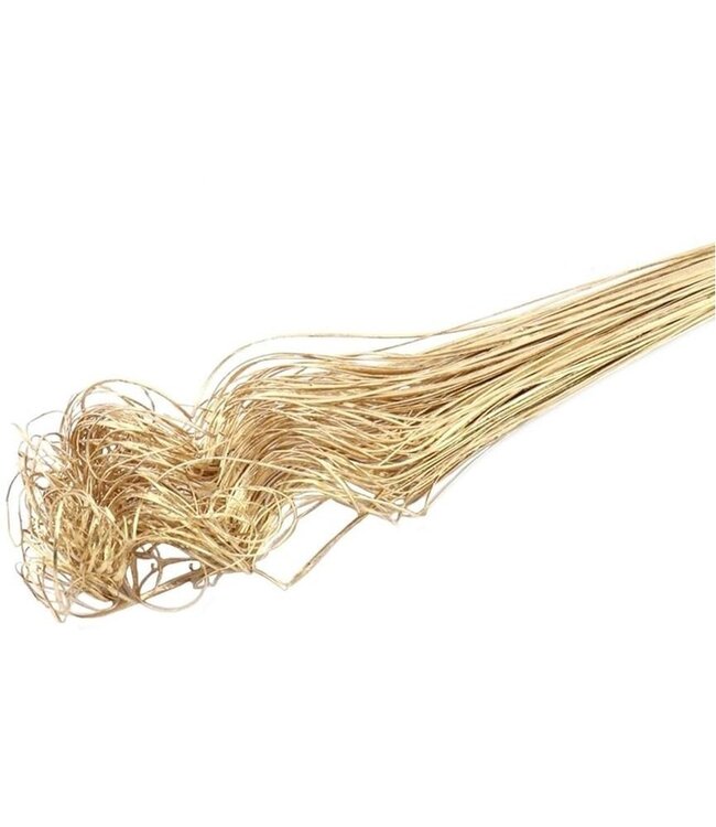 Getrocknetes Palmblatt Nerv | Curly Ting Ting | Farbe: Goldfarben | Trockenblumen | Länge ± 70 Zentimeter | Gewicht 200 Gramm | Pro Bund