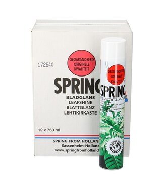 4A Pflege Spring Blattglanz | FCKW-frei | Inhalt 750 Milliliter | Pro 12 Sprühdosen