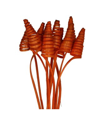 4A Palmspirale auf Stiel | Farbe: Orange | Cane Cone Einstecker | Länge Einstecker ± 50 Zentimeter | Pro 10 Einstecker