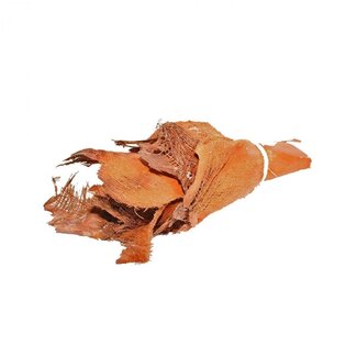 4A Getrocknete Palmrinde Bakla | Farbe: Orange Braun | Trockenblumendekoration | 10 Rinden pro Bund | Pro Bund