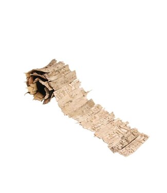 4A Dried Birch Bark | Colour: Light Brown | Dry Decoration | Length 90 centimetres | Width 11 centimetres | Per roll