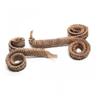 4A Dried Palm Special | Colour: Brown | Dried Decoration | Length 12 centimetres | Per 10 pieces