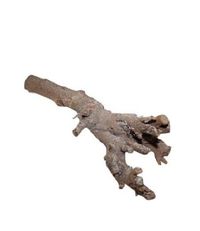 Dried Kuwa Root | Colour: Grey | Dried Decoration | Length 40 centimetres | Per root