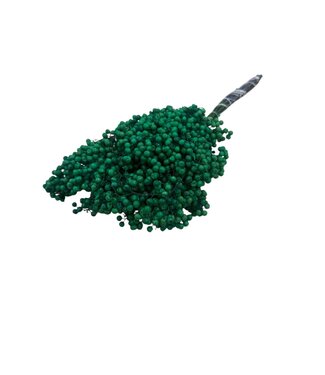 Dutch Dried Groene Schinus - Peperbessen droogdecoratie | Lengte ± 35 centimeter | Gewicht ± 150 gram