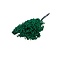 Green Schinus - Pepperberry Dried Decoration | Length ± 35 centimetres | Weight ± 150 grams