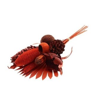 4A Blumenstrauß „Exotic“ | Farbe: Orange | Länge ± 55 Zentimeter | Pro Strauß