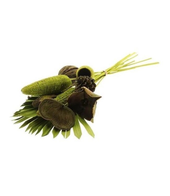 Bouquet “Exotic” | Colour: Green | Length ± 55 centimetres | Per bouquet