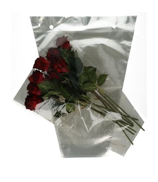 4A Hüllen CPP30 HN | Farbe: Transparent | Länge 50 Zentimeter | Breite 35 Zentimeter | Höhe 12 Zentimeter | Pro 1500 Hüllen