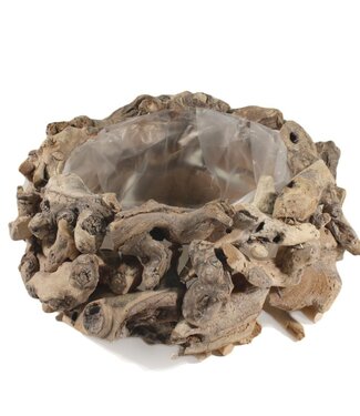 4A Treibholz Blumentopf Pflanzgefäß | Farbe: Naturweiß | Durchmesser 31 Zentimeter | Höhe 14 Zentimeter | Pro Blumentopf