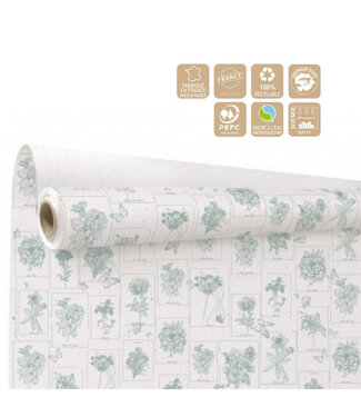 4A Paper on roll “Curiosity” | Colour: Green | Width 80 centimetres | Length 40 metres | Per roll