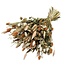 Bouquet of dried flowers Shades of Salmon | Length ± 60 centimetres | With salmon-coloured dried flowers