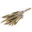 White Amaranthus Cruentus dried flowers | Length ± 60 centimetres | Weight ± 125 grams