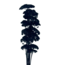 Black Achillea Filipendulina dried flowers | Length ± 65 centimetres | Weight ± 100 grams