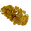 Natürliche gelbe Achillea Filipendulina Trockenblumen | Länge ± 65 Zentimeter | Gewicht ± 100 Gramm