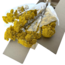 Natural yellow Achillea Filipendulina dried flowers | Length ± 65 centimetres | Weight ± 100 grams