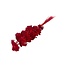 Red bleached Achillea Filipendulina dried flowers | Length ± 65 centimetres | Weight ± 100 grams