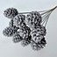 White Snow-Covered Pine Cones on Stick | Length ± 55 centimetres | Per 10 branches