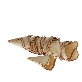 4A Dried Birch Wood Roll | Colour: Light Brown | Dry Decoration | Large Size | Per 8 Rolls