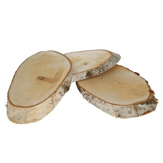 4A Getrocknete Holzscheibe aus Birke | Farbe: Hellbraun | Trockendekoration | Durchmesser 34 Zentimeter | Pro 3 Holzscheiben