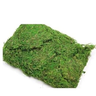 4A Gedroogd Mos | Kleur: Groen | Droogdecoratie | Per 250 gram