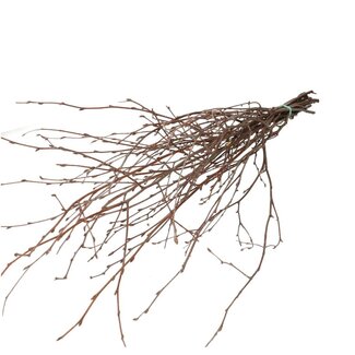 4A Dried Birch Branches | Colour: Brown | Dried Decoration | Length ± 70 centimetres | Per 20 branches