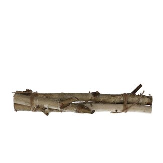 4A Gedroogde Berken Takken | Kleur: Lichtbruin | Droogdecoratie | Lengte ± 30 centimeter | Per 3 takken