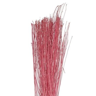 4A Branches de Yanagi séchées | Couleur : Rose clair | Décoration séchée | Poids 250 grammes | Longueur 85 centimètres | Par bouquet