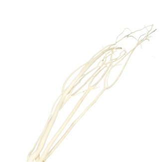 4A Gedroogde Mitsumata Takken | Kleur: Naturelle Wit | Droogdecoratie | Lengte ± 115 centimeter | 3 takken per bos | Per bos