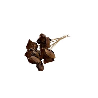 Casa Alegria Natural Palm Cup dried flowers | Length ± 50 centimetres | Per 8 stems