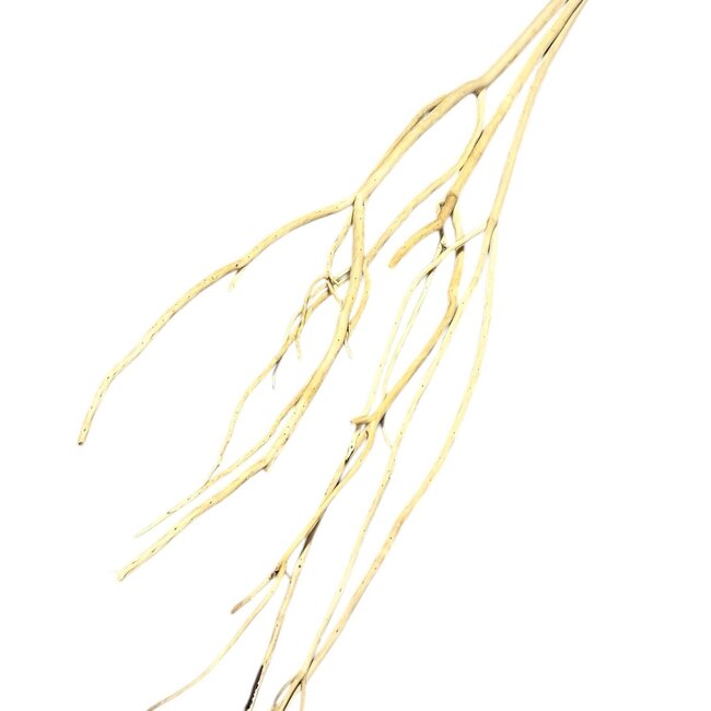 Natural Mutsumata Yanagi branches | Length ± 115 cm | Per 3 branches