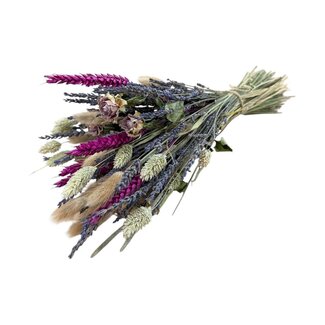 Dutch Dried BQT Lavender | Purple | 100 gr | 40 cm