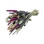 Boeket droogbloemen Lavender Yellow | Lengte ± 35 centimeter | Met Lavendel en paarse droogbloemen